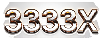 3333x logo